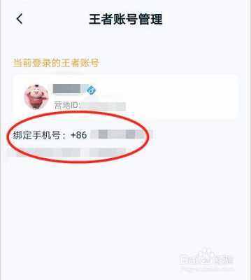 王者解绑之后怎么重新绑定 王者注册怎么解绑