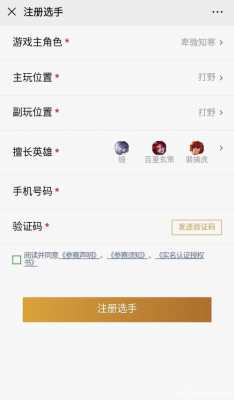 王者注册选手有什么用 王者注册选手