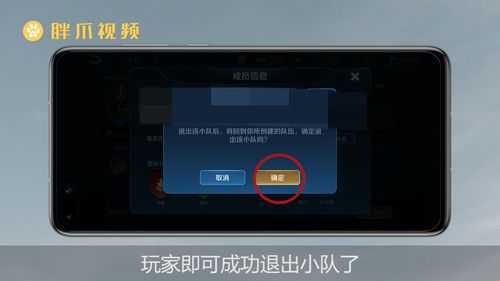  王者荣耀查看微信好友「王者荣耀查看微信好友主页会被发现吗」